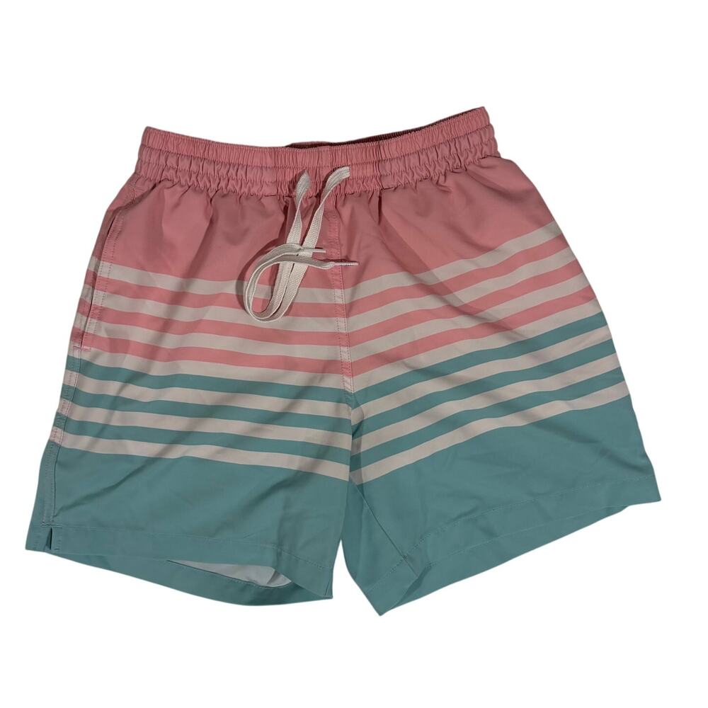 Chubbies "On The Horizons" 5.5” Inseam Stretch Men's Swim Trunks Small